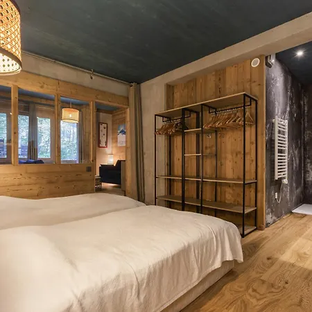 Loft Bellevue Remonte Centre Piscine Parking 莱苏什