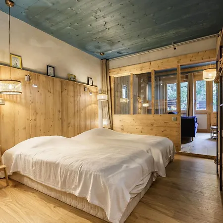 公寓 Loft Bellevue Remonte Centre Piscine Parking